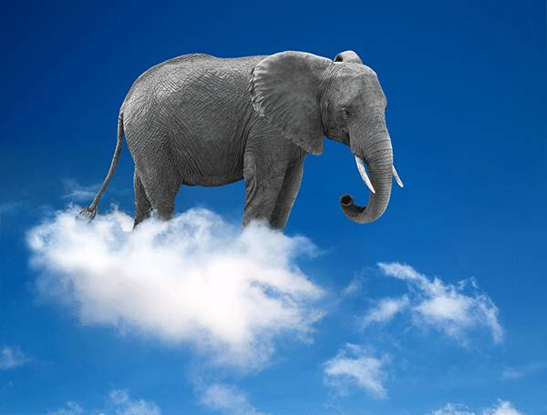Elephant on cumulus cloud - Len Academy 