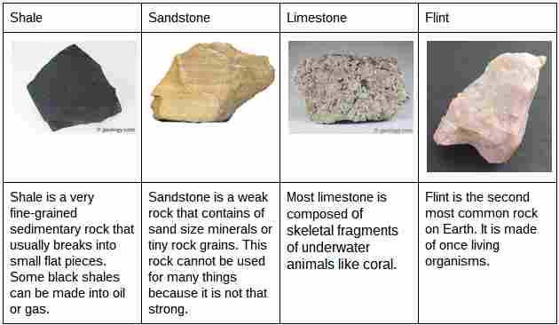 Sedimentary Rock - Len Academy
